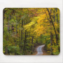 Search for hardwood mousepads Forest