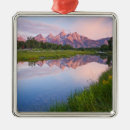 Search for jackson hole christmas tree decorations Nature
