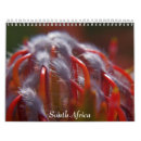 Search for africa calendars Giraffe