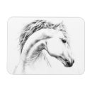Search for stallion cards Elegant