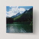 Search for lake badges Forest