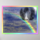 Search for rainbow bridge posters Animals