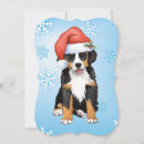 Search for bernese mountain dog christmas cards Berner