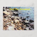 Search for finding postcards Bird