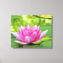Search for flowers canvas prints Water lilies