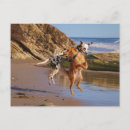Search for joys postcards Happy