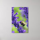 Search for bumble bee canvas prints Floral