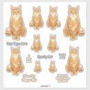 Search for ginger tabby stickers Feline