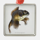 Search for goldfish christmas tree decorations Full length