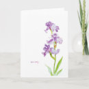 Search for rachel cards Marena lane