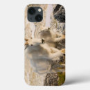 Search for adults ipad cases Biology