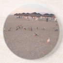 Search for birder coasters Wildlife