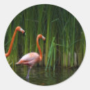Search for daytona beach stickers Vacation