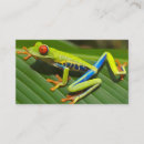 Search for tree frog business cards Wildlife