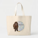 Search for newfies accessories Landseer