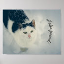 Search for furry art Winter