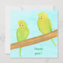 Search for bird thank you cards Parakeet