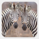 Search for kruger stickers Horizontal