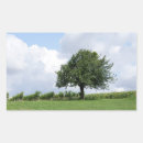 Search for cherry tree stickers Cherries