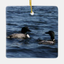Search for loon christmas tree decorations Lake