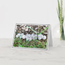 Search for mushroom cards Nature