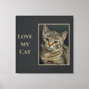 Search for kitty love art Animal