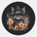 Search for cat stickers Halloween