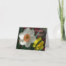 Search for daffodil thank you cards Garden