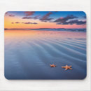 Search for starfish mousepads Waves