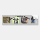 Search for animal rescue bumper stickers Pets