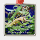 Search for weedy Sea dragons