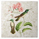 Search for hummingbird tiles Tropical
