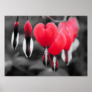 Search for bleeding photography Red