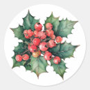 Search for holly leaves and berries stickers Watercolor