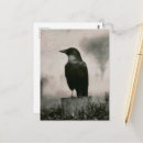 Search for ai photography Unique