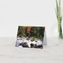 Search for river note cards Autumn