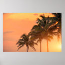 Search for miami posters Vacation