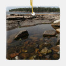 Search for acadia national park christmas tree decorations Nature