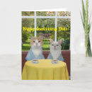 Search for funny anniversary cards Cat