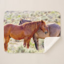 Search for danita delimont blankets Horse