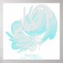 Search for fibonacci posters Design