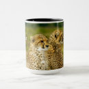 Search for wildlife mugs Africa