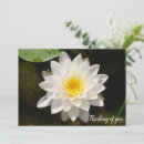 Search for waterlilies invitations Lotus
