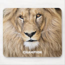 Search for champion electronics Lion