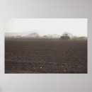 Search for sow posters Photography