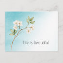 Search for aquas postcards For her
