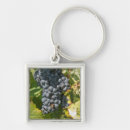 Search for vineyard square key rings Agriculture