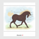 Search for hoof art Anatomy