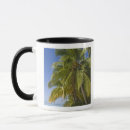 Search for cook islands mugs Ocean