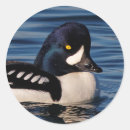 Search for winter scenes stickers Blue